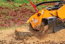 How Our Tree Care Process Works  in  Thermal, CA