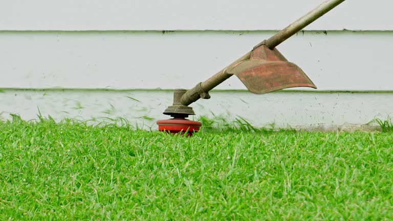 Reliable Thermal, CA Tree Services Solutions